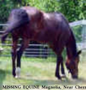 MISSING EQUINE Magnolia, Near Cherry Valley, IL, 99999